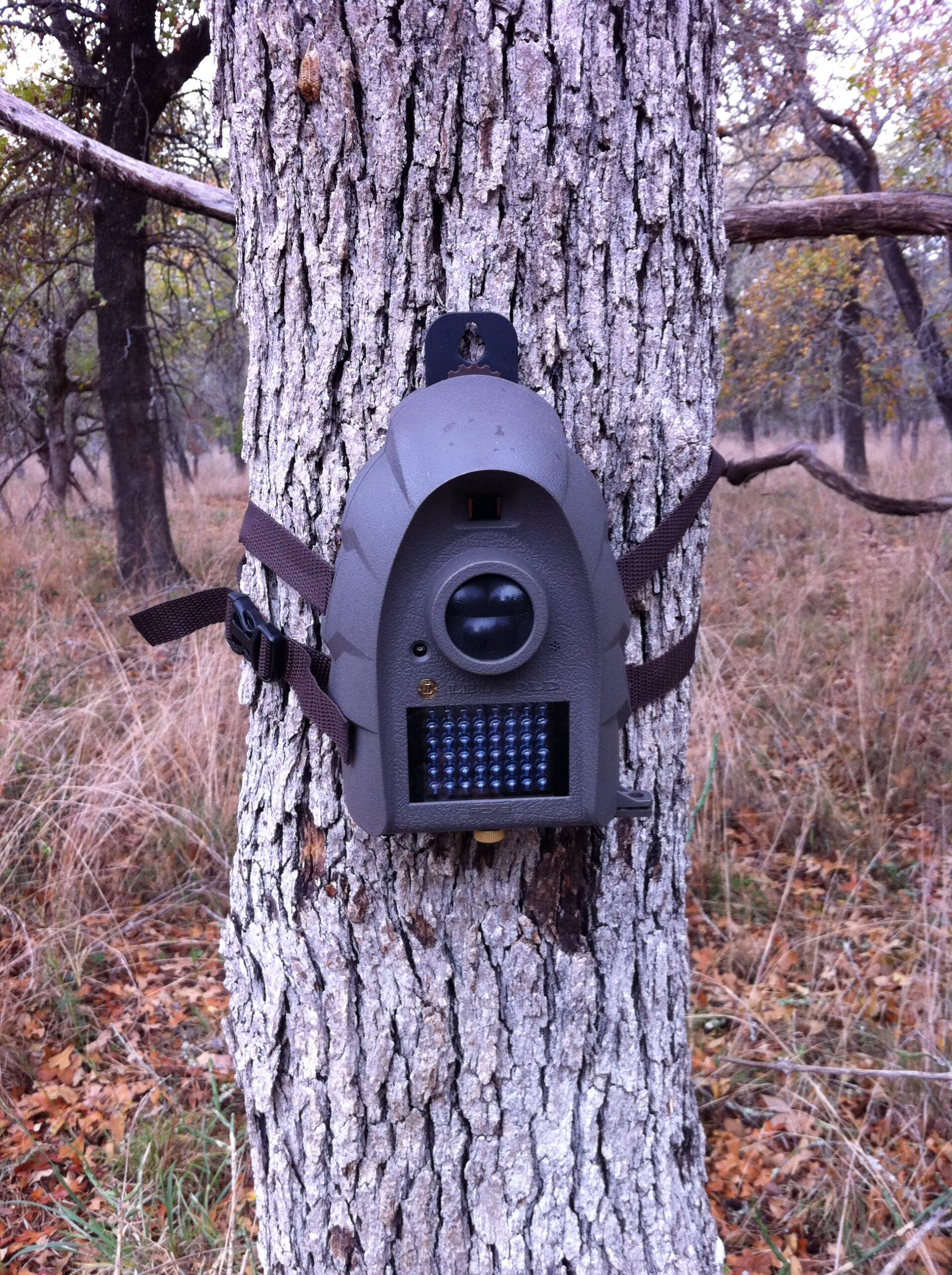 Leupold RCX-2 Trail Camera Review