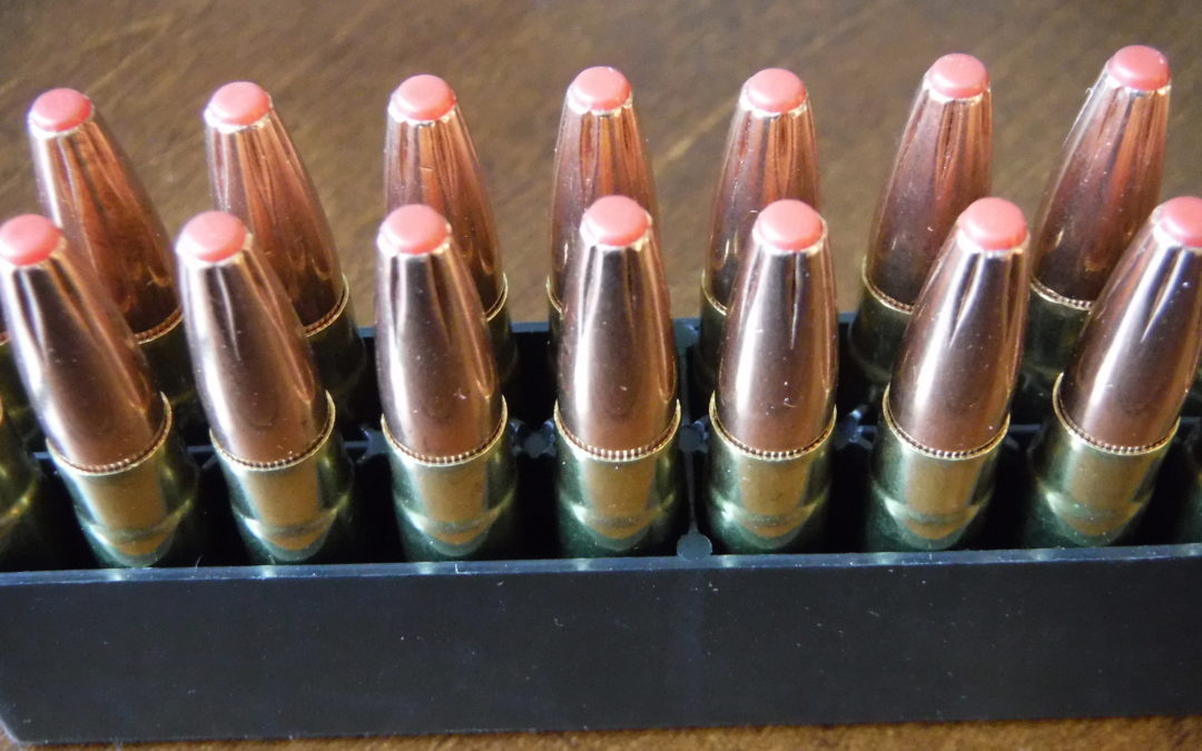 300 blackout subsonic ammo personal defense