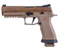 SIG Sauer P320 Review in 2019