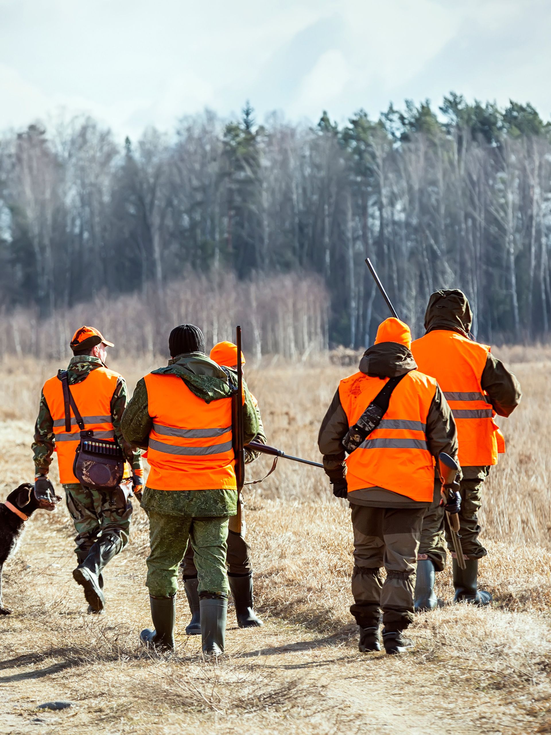 Gear a Beginner Will Need for the Upcoming Hunting Season