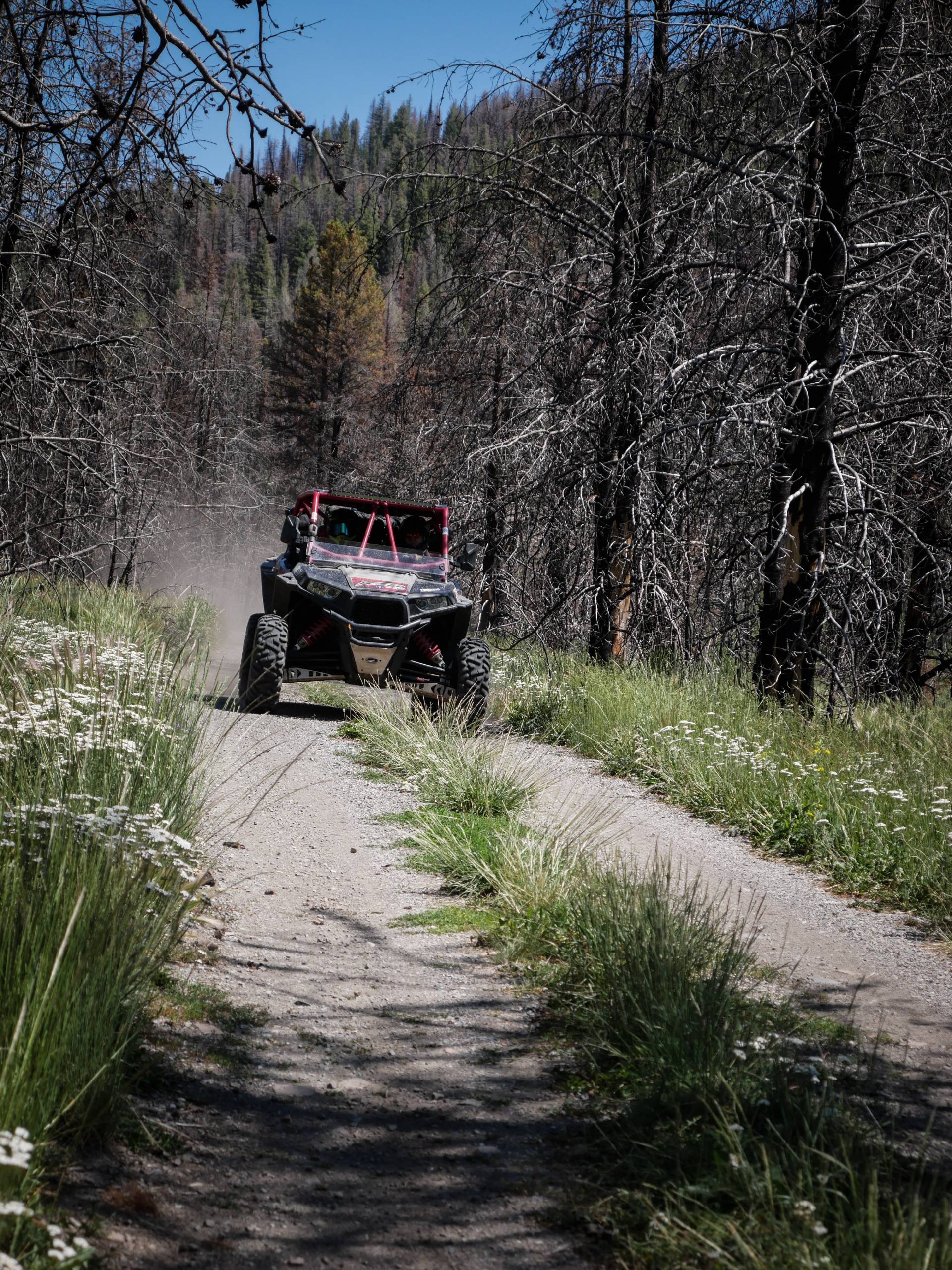 A Guide to Firearm Safety When Driving a UTV