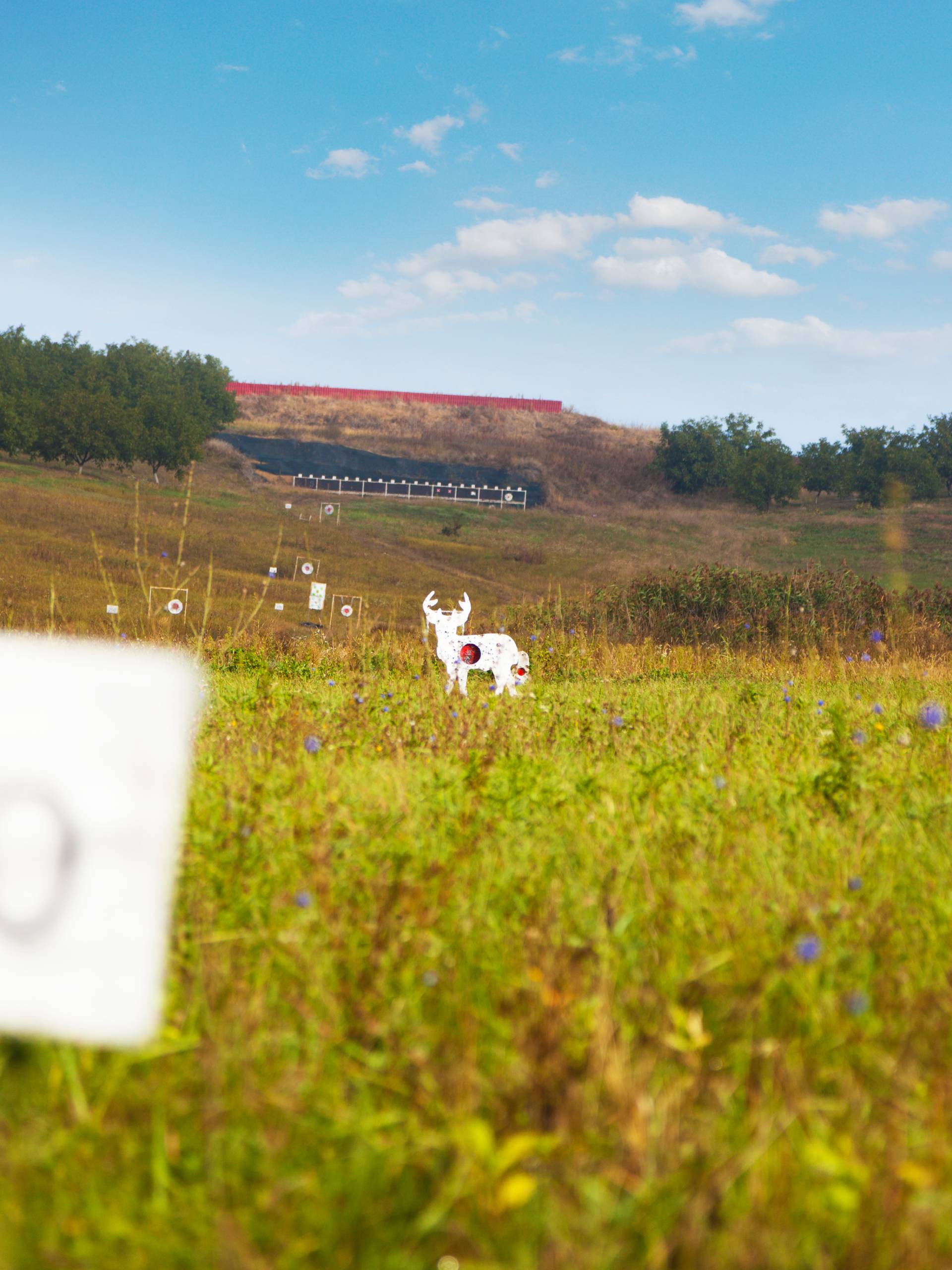 A large field used as a shooting range has a white cutout of a deer for target practice placed in the distance.