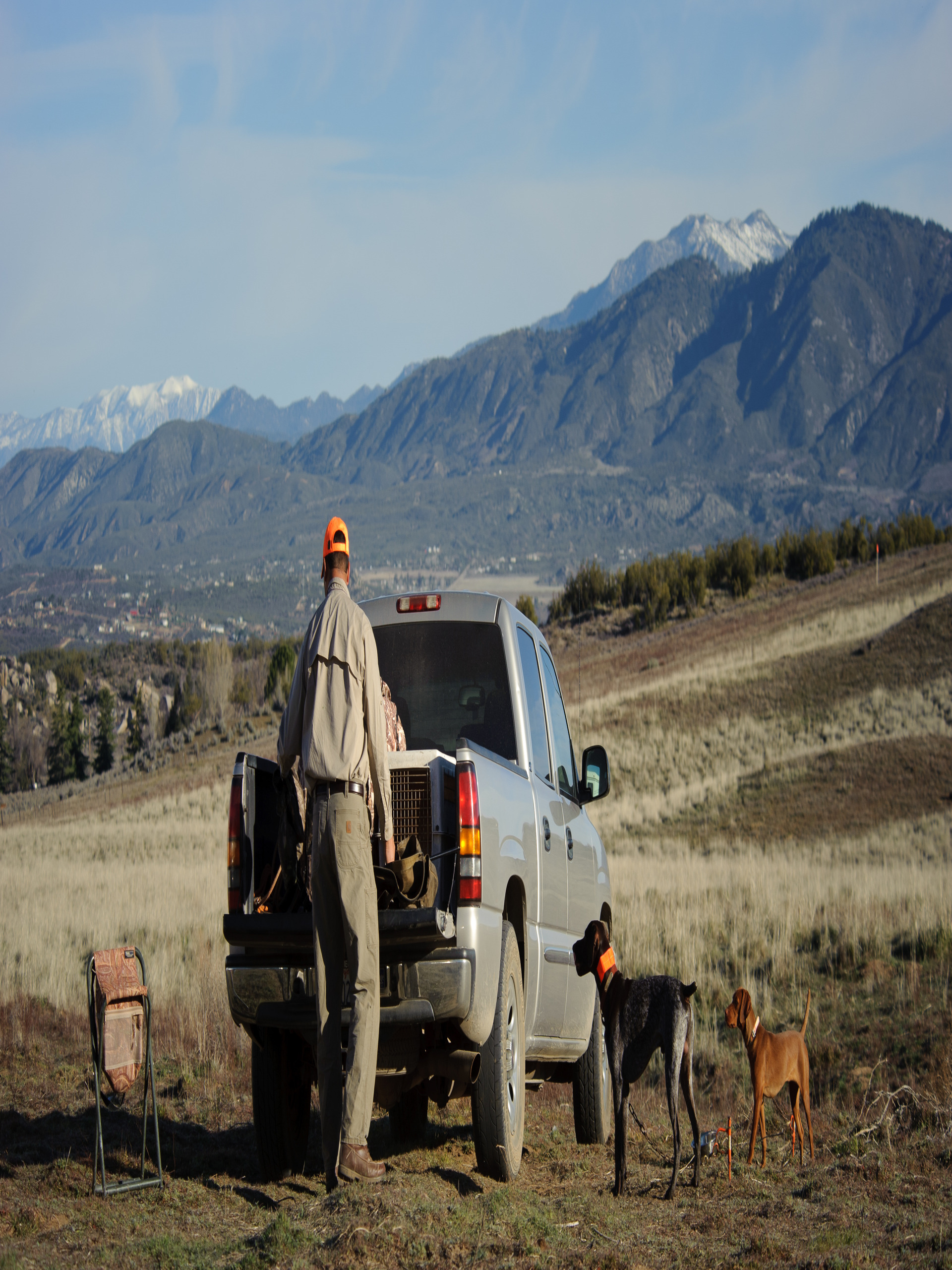 A man wearing an orange hunting hat stands beside an open truck bed packed with gear. Two dogs watch his movements.