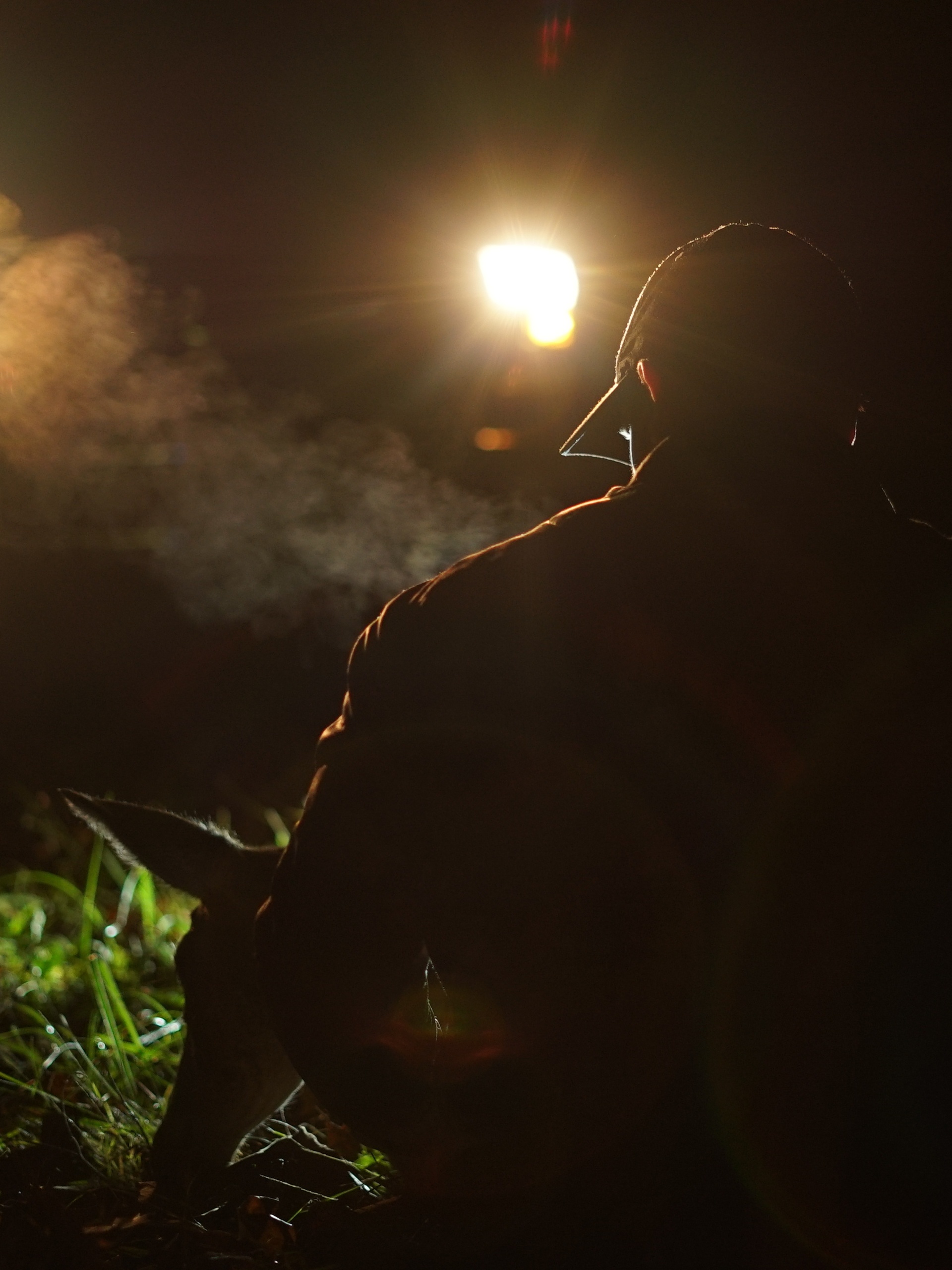 4 Crucial Accessories To Pick Up Before Night Hunting