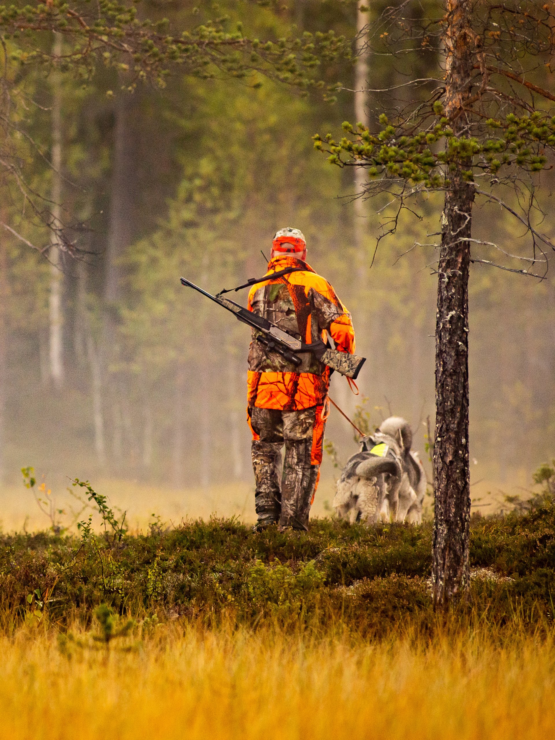 Should You Let Others Hunt on Your Property? What To Know