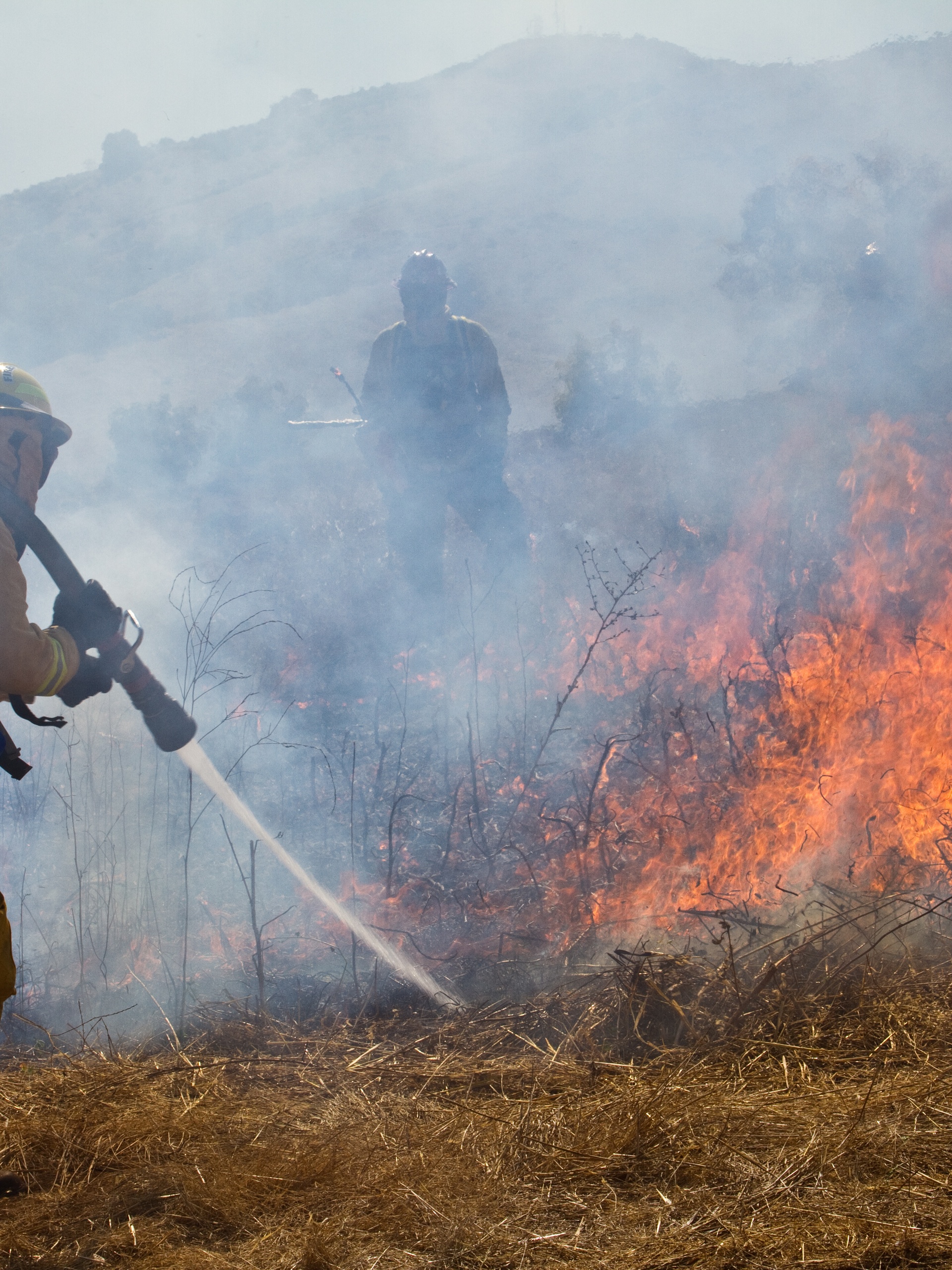 Psychological Demands of Wildland Firefighting