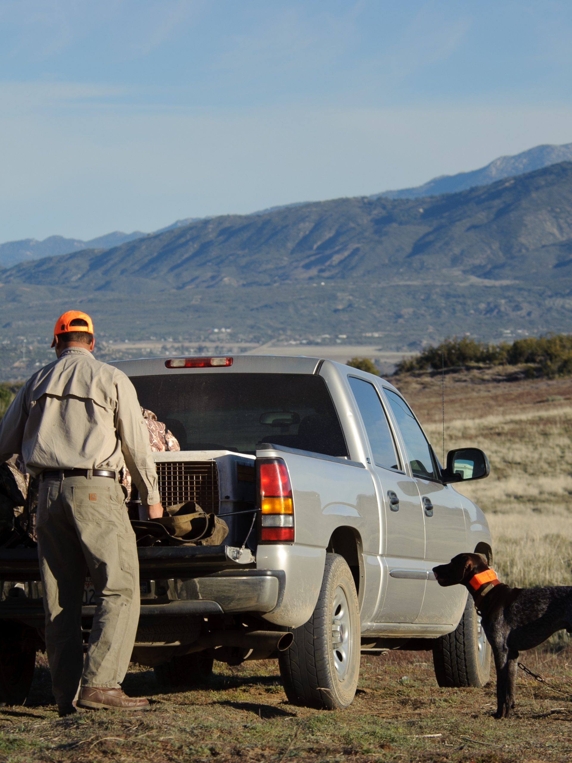 A man looking through the bed of his truck while his dogs stand nearby. There are large mountains in the background.