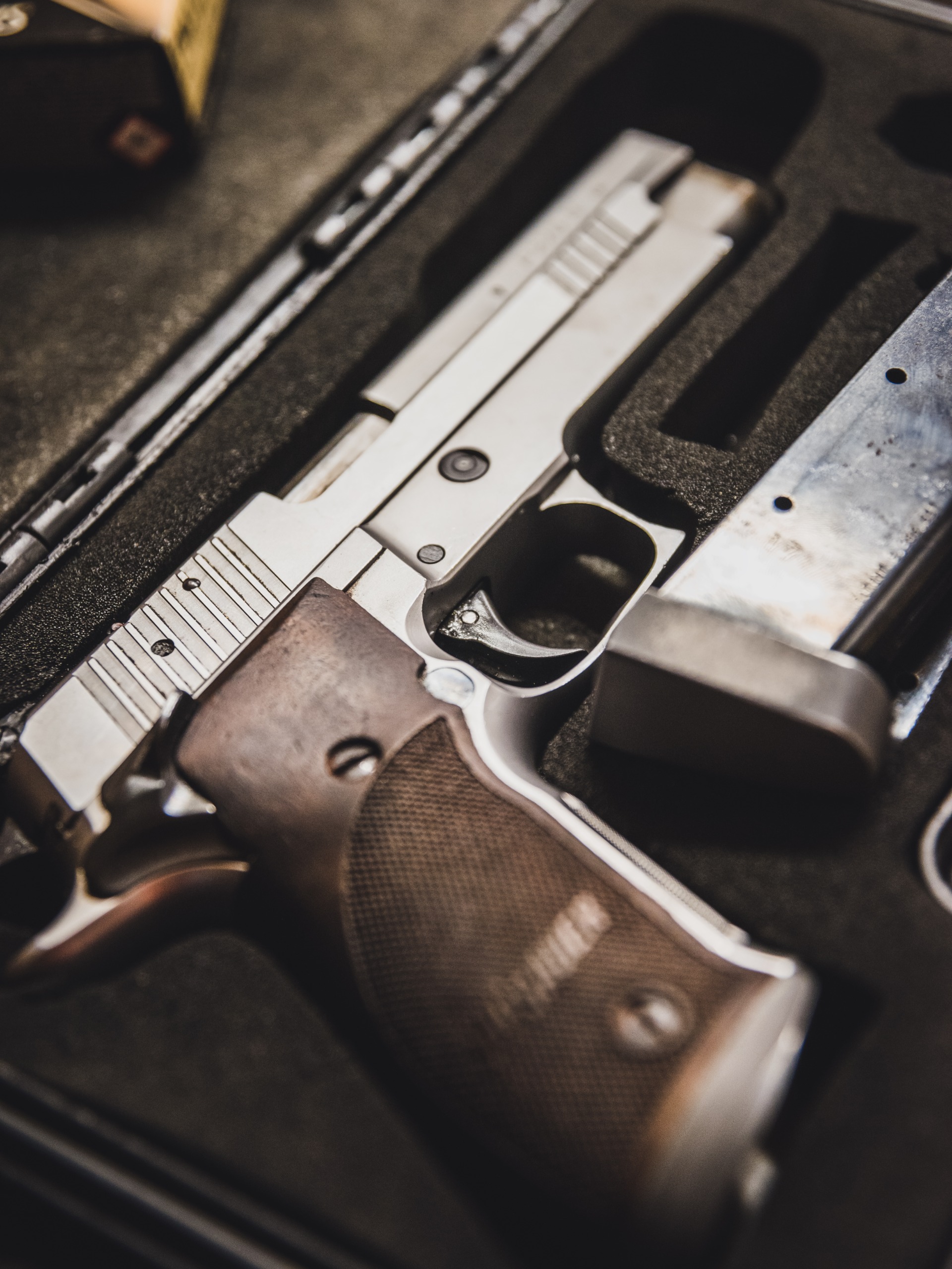 Tips for Protecting Your Firearms From Theft