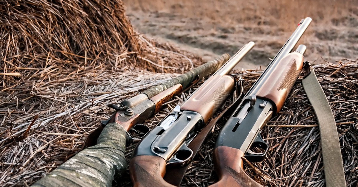 Reasons a Shed Is a Great Idea for Hunters