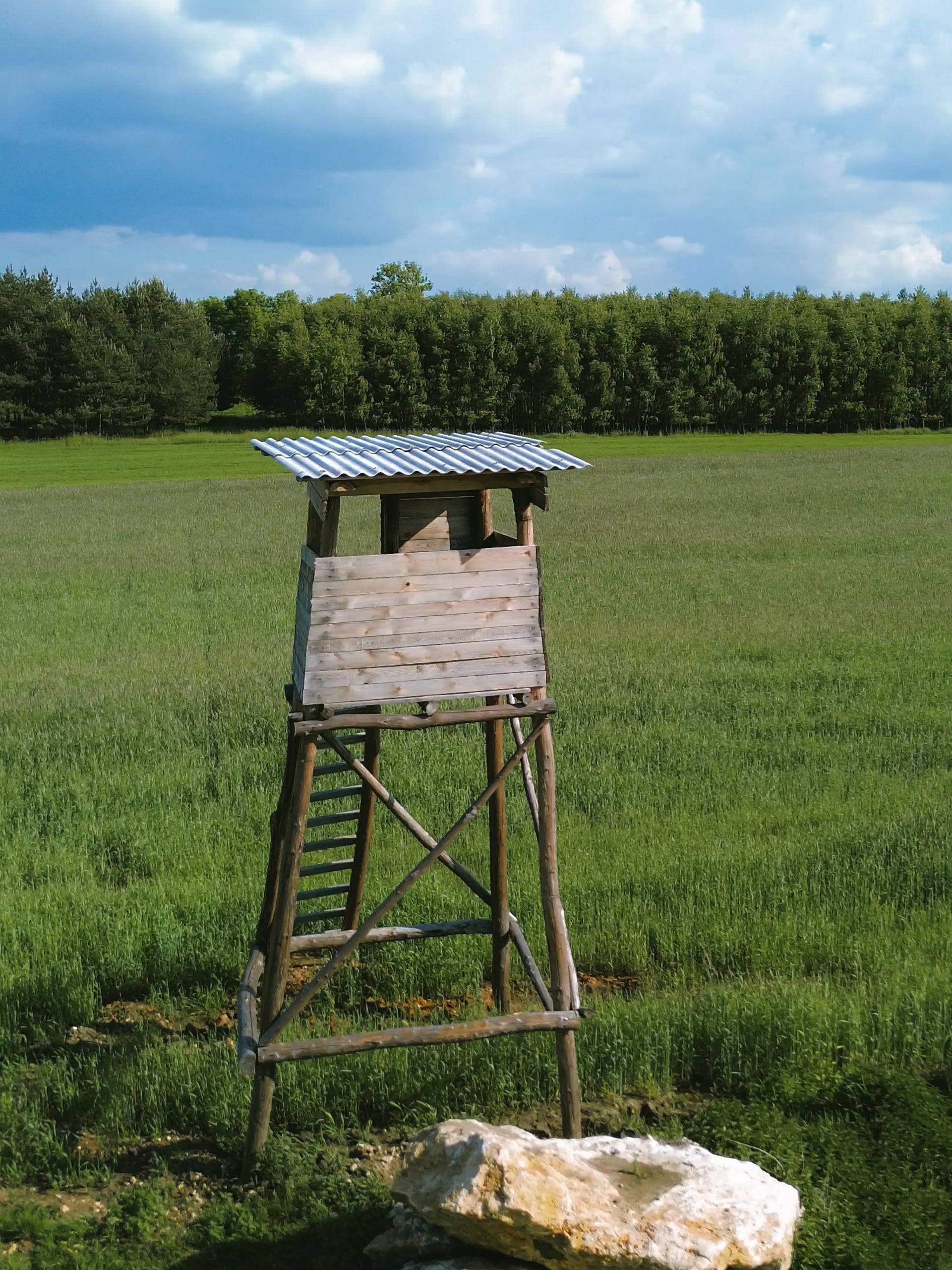 How To Build the Ultimate Private Hunting Property
